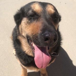 Meet your Posher, Jazmin